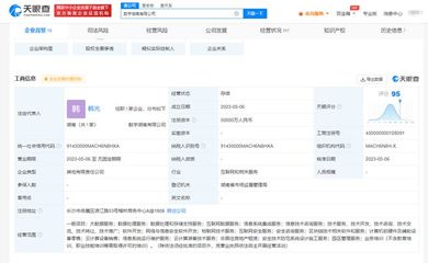 中国电子等成立数字湖南公司，注册资本5亿，聚焦安全技术防范系统服务